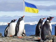 Украинские исследователи нашли нефть в Антарктиде