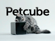 Украинский стартап Petcube запустил кампанию на Kickstarter, которая собрала уже больше $50 тыс.